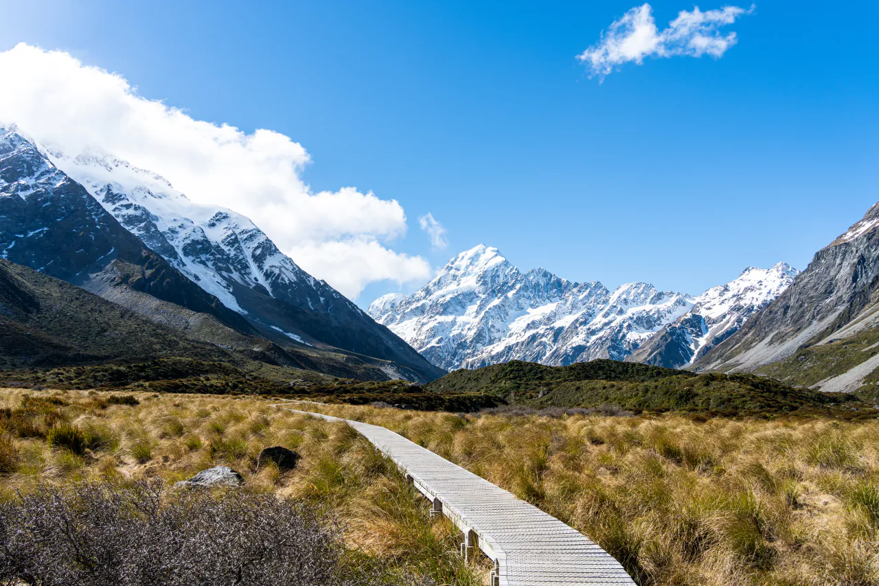 A wooden boardwalk through golden grass toward the snow-covered peaks of Aoraki / Mount Cook